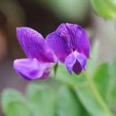 역삼역센트럴푸르지오공인중개사사무소 이미지