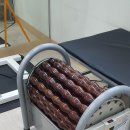 월드스포츠