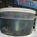 화명횟집 이미지