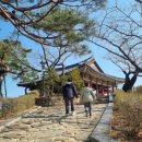 4471 | 강릉 가볼만한곳 경포대 산책후기｜경포호 전망이 아름다운 누각