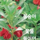 봉숭아 이미지