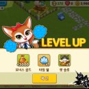 펫아일랜드 이미지