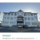 화이트하우스in용담 | 제주 스타벅스 한정 음료 [제주용담dt점] ::제주탄제린블랜디드,제주까망크림프라푸치노🪨