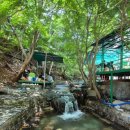 계곡속의동화 이미지