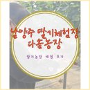 다솜농장 | 경기도 남양주 딸기체험장 다솜 농장 체험 후기[주차, 비용, 진솔후기]