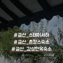 스테이 서하 이미지