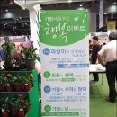 버섯구지체험마을 이미지