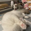 You’re 쏘 Cute 이미지
