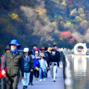 감성버스(11/1 토 ￦14,900) 화천 산소길/파로호 전망대/커피박물관/산타우체국 이미지