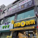 캣츠앤몬스터