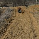 마룡농장 이미지