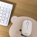 7378 | 가성비 좋은 필립스 저소음 무선 마우스 SPK7378 사용 후기