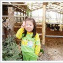 정다운목장 이미지