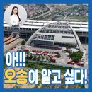(주)대웅생명과학서울지점 | 아!!! 오송이 알고 싶다! / 청주궁금이