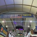 중정로61번길 | [서귀포 : 야시장] 올레시장 54번가 야시장 먹거리 신촌 흑돼지 강정 내돈내산 후기