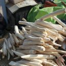 장흥 4리 이미지