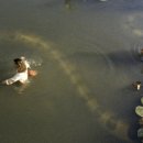 대공원역 이미지