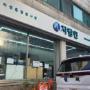 자담인영힐링