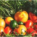 피부사랑 이미지