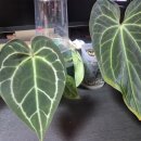 방림2동 행정복지센터 이미지