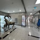 오산시립미술관 이미지