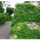 산수곡경로당 이미지