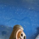 동광카센타 이미지