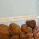 북평초등학교 | 동해 빵집 북평시장 맛집 호산빵집 빵지순례