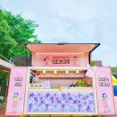 근화여자중학교 이미지