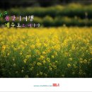 여행114 이미지