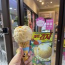 베라 이미지