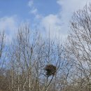 펀포레스트 이미지