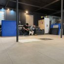 퍼펙트독 이미지