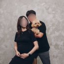 미네랄파사드