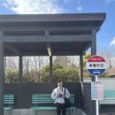 조형물D | 2025.01.14 D+333 돼지들의 노잼도시 나고야(3편)-지브리파크 솔직후기, 돼지파티 나고야