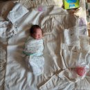 (주)더블유산후조리원 이미지