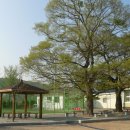 장기중학교 이미지