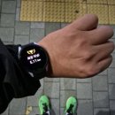 265 | *가민 포러너 265(ForeRunner 265) 내돈내산 후기