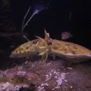 홍해수산 이미지