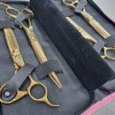 영천애견미용 이미지