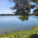 동충주공인중개사사무소 이미지