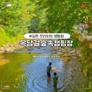 옥당걸숲속 | 구미 대구 근교 김천 계곡 캠핑장 옥당걸숲속캠핑장 솔직후기