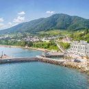 옐로우서브마린 온수수영장펜션 이미지