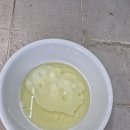 올덴트 | [대전 에바크리닝] 7만원의 기적! 태경덴트 아반떼AD 내돈내산 후기 (길찾기 꿀팁/주기 추천)