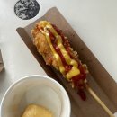 평화통일목장 | 강릉가족여행코스 1편