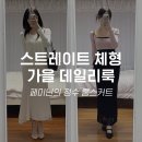 스트레이트 체형 가을 간절기 코디 : 가디건 롱스커트 출근룩 쇼핑몰 추천
