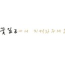 휘월 Daum카페