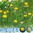 서울오금초등학교 이미지