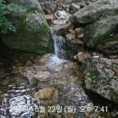 수지로 | 용인 수지 신봉동 광교산 최단코스 후기