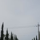 남해-310 이미지